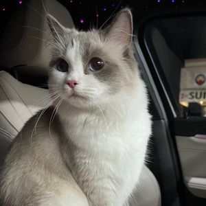 Meet your Posher, Vicky